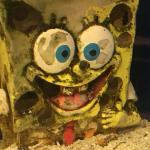 Spongebob on crack