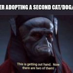 This is getting out of hand | AFTER ADOPTING A SECOND CAT/DOG/PET | image tagged in this is getting out of hand | made w/ Imgflip meme maker