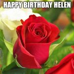 Roses | HAPPY BIRTHDAY HELEN | image tagged in roses | made w/ Imgflip meme maker