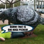 Huge pecker | DAMN! THAT IS ONE HUGE PECKER! | image tagged in huge pecker | made w/ Imgflip meme maker