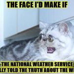 THE FACE I'D MAKE | THE FACE I'D MAKE IF; THE NATIONAL WEATHER SERVICE ACTUALLY TOLD THE TRUTH ABOUT THE WEATHER | image tagged in the face i'd make | made w/ Imgflip meme maker