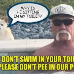 Bathroom etiquette, Hulk Hogan style. | WHY IS HE SITTING IN MY TOILET? WE DON'T SWIM IN YOUR TOILET, SO PLEASE DON'T PEE IN OUR POOL. | image tagged in hulk hogan hot tub,memes,dog memes,bathroom humor,peeing | made w/ Imgflip meme maker