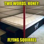WWE bed: At least the words weren't "folding chair." | TWO WORDS, HONEY:; FLYING SQUIRREL | image tagged in wwe,memes,bedroom,roleplaying,battle of the sexes,pro wrestling | made w/ Imgflip meme maker