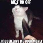 Cat | ME:F*CK OFF; ROBBER:GIVE ME YOUR MONEY | image tagged in cat | made w/ Imgflip meme maker