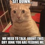 Surprised cat sitting at a bar | SIT DOWN... WE NEED TO TALK  ABOUT THIS DRY JUNK YOU ARE FEEDING ME. | image tagged in surprised cat sitting at a bar | made w/ Imgflip meme maker