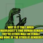 Philosoraptor 2.0 | WHY IS IT THAT WHEN ARCHAEOLOGIST'S FIND HUMAN REMAINS... THEY’RE EITHER MALE OR FEMALE AND NONE OF THE OTHER 87 GENDERS? | image tagged in philosoraptor 20 | made w/ Imgflip meme maker