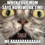 the cats | WHEN YOUR MOM SAYS HOMEWORK TIME; ME:AAAAAAAAAAAAH | image tagged in the cats | made w/ Imgflip meme maker