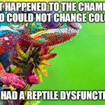 Chameleon  | WHAT HAPPENED TO THE CHAMELEON WHO COULD NOT CHANGE COLOR? HE HAD A REPTILE DYSFUNCTION | image tagged in chameleon | made w/ Imgflip meme maker
