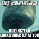Accordion Manatee | WHEN THE TEACHER ASKS A QUESTION AND DOESN'T CALL ON ANYBODY WITH THERE HAND UP; BUT INSTEAD LOOKS DIRECTLY AT YOU | image tagged in accordion manatee | made w/ Imgflip meme maker