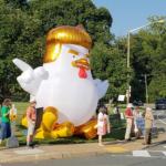 Trump chiken cross road