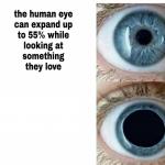 Human eye meme