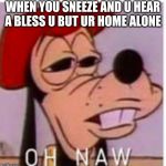 OH NAW | WHEN YOU SNEEZE AND U HEAR A BLESS U BUT UR HOME ALONE | image tagged in oh naw | made w/ Imgflip meme maker