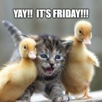 Happy Friday | REMEMBER TO CHECK OUT OUR NEW HOURS! YAY!!  IT'S FRIDAY!!! SISSKIND CHIROPRACTIC | image tagged in happy friday | made w/ Imgflip meme maker