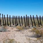 Trump's Mexican Border Wall - Keep Immigrants out with a Sharpie meme
