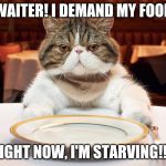 hungry cat | WAITER! I DEMAND MY FOOD; RIGHT NOW, I'M STARVING!!!! | image tagged in hungry cat | made w/ Imgflip meme maker