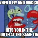 Mr Krabs choking | WHEN A FLY AND MAGGOT; HITS YOU IN THE MOUTH AT THE SAME TIME | image tagged in mr krabs choking | made w/ Imgflip meme maker