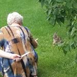 grandma hiding knife rabbit