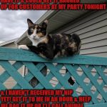 DRUG DEALER | I GAVE YOU 2 GRAND FOR 5 LBS OF CAT NIP 3 DAYS AGO SO I'D HAVE IT & COULD GET IT BAGGED UP FOR CUSTOMERS AT MY PARTY TONIGHT; & I HAVEN'T RECEIVED MY NIP YET! GET IT TO ME IN AN HOUR & HELP ME BAG IT UP OR I'LL CALL ANIMAL CONTROL & TELL THEM YOUR KITTENS HAVE RABIES & THEY'LL PUT THEM ALL TO SLEEP! | image tagged in drug dealer | made w/ Imgflip meme maker