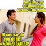 The cat did it | Was that your cat digging up carrots in my garden? Of course, do you think I have time for that? | image tagged in people talking,cats,snarky | made w/ Imgflip meme maker