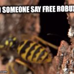 roblox funny | DID SOMEONE SAY FREE ROBUX? | image tagged in gifs,robux,roblox,free robux | made w/ Imgflip video-to-gif maker