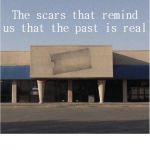 Scars of the Past | The scars that remind us that the past is real; COVELL BELLAMY III | image tagged in scars of the past | made w/ Imgflip meme maker