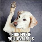 DogQuestions | HIGH FIVE IF YOU LOVE JESUS | image tagged in dogquestions | made w/ Imgflip meme maker