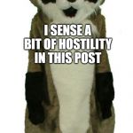 Hostile Raccoon  | I SENSE A BIT OF HOSTILITY IN THIS POST | image tagged in hostile raccoon | made w/ Imgflip meme maker