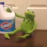 Kermit suicide