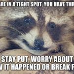 You have options | WHEN YOU ARE IN A TIGHT SPOT, YOU HAVE THREE OPTIONS:; STAY PUT, WORRY ABOUT HOW IT HAPPENED OR BREAK FREE. | image tagged in raccoon,break free,stay put,why worry,get moving,no raccoon was harmed making this meme | made w/ Imgflip meme maker