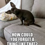 How could you forget | HOW COULD YOU FORGET A THING LIKE THAT? | image tagged in how could you forget | made w/ Imgflip meme maker