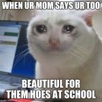 cryingcat | WHEN UR MOM SAYS UR TOO; BEAUTIFUL FOR THEM HOES AT SCHOOL | image tagged in cryingcat | made w/ Imgflip meme maker