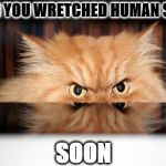 SOON | SOON YOU WRETCHED HUMAN SLAVE; SOON | image tagged in soon | made w/ Imgflip meme maker