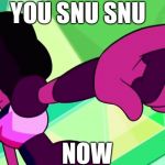 Garnet Point | YOU SNU SNU; NOW | image tagged in garnet point | made w/ Imgflip meme maker