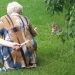 Grandma Hiding Knife From Rabbit