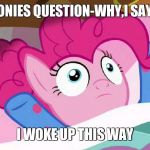 I woke up like this | PONIES QUESTION-WHY,I SAY... I WOKE UP THIS WAY | image tagged in i woke up like this | made w/ Imgflip meme maker