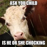 Chocked Cow | ASK YOU CHILD; IS HE OR SHE CHOCKING | image tagged in chocked cow | made w/ Imgflip meme maker