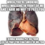 some days it's hard to hold back... | WHEN YOU'RE SMOKING WHILE WALKING IN FRONT OF ME AND I HAVE NO WAY TO PASS YOU; I KINDA WANNA PEE ON YOUR LEG SO THAT YOU CAN SMELL OF ME TOO | image tagged in smoker sick unhealthy lungs,smoking,stink | made w/ Imgflip meme maker