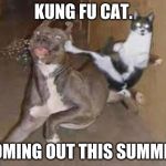 did some one say ____???? | KUNG FU CAT. COMING OUT THIS SUMMER. | image tagged in did some one say ____ | made w/ Imgflip meme maker