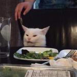 confused cat at dinner