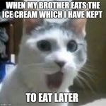 Shocked Cat | WHEN MY BROTHER EATS THE ICE CREAM WHICH I HAVE KEPT; TO EAT LATER | image tagged in shocked cat | made w/ Imgflip meme maker