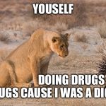 Lion and Porcupine | YOUSELF; DOING DRUGS DONT DO DRUGS CAUSE I WAS A DIG BEFORE | image tagged in lion and porcupine | made w/ Imgflip meme maker