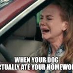Teachers on Monday morning | WHEN YOUR DOG ACTUALLY ATE YOUR HOMEWORK | image tagged in teachers on monday morning | made w/ Imgflip meme maker