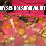 Candy | MY SCHOOL SURVIVAL KIT | image tagged in candy | made w/ Imgflip meme maker