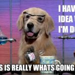 clueless science dog | THIS IS REALLY WHATS GOING ON! | image tagged in clueless science dog | made w/ Imgflip meme maker