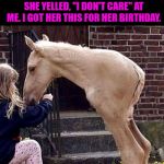 her dad warned her he'd less than ½ the cash 4 a pony this year | I TOLD MY DAUGHTER, WHO HAD ASKED FOR ONE, THAT BY NEXT YEAR I SHOULD HAVE ENOUGH SAVED UP AFTER TAXES AND BILLS AND EXPENSES TO GET HER A HORSE. I TOLD HER I HAD LESS THAN ½ THE CASH NECESSARY SAVED TO GET HER ONE. SHE YELLED, "I DON'T CARE" AT ME. I GOT HER THIS FOR HER BIRTHDAY. | image tagged in her dad warned her he'd less than  the cash 4 a pony this year | made w/ Imgflip meme maker