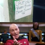 Baby Bird Picard meme