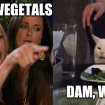 yellsatcat | EAT YA VEGETALS; DAM, WUMIN | image tagged in yellsatcat | made w/ Imgflip meme maker