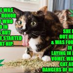 DRUG ADDICT | SHE DROPPED OUT OF SCHOOL & WAS FOUND DEAD IN AN ALLEY LAYING IN HER OWN VOMIT. WARN YOUR CAT ABOUT THE DANGERS OF NIP TODAY! THIS IS JANE. SHE WAS ONCE AN HONOR STUDENT WHO MAJORED IN PHYSICS BUT THEN SHE STARTED USING CAT NIP. | image tagged in drug addict | made w/ Imgflip meme maker