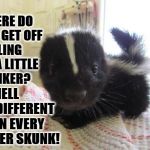 LITTLE STINKER | HEY WHERE DO YOU GET OFF CALLING ME A LITTLE STINKER? I SMELL NO DIFFERENT THAN EVERY OTHER SKUNK! | image tagged in little stinker | made w/ Imgflip meme maker