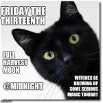 Witches Be Trippin.  Hehehehe | FRIDAY THE; THIRTEENTH; FULL HARVEST MOON; WITCHES BE BREWING UP SOME SERIOUS MAGIC TONIGHT; @MIDNIGHT | image tagged in black cats matter,midnight,friday the 13th,witches,trippin',memes | made w/ Imgflip meme maker